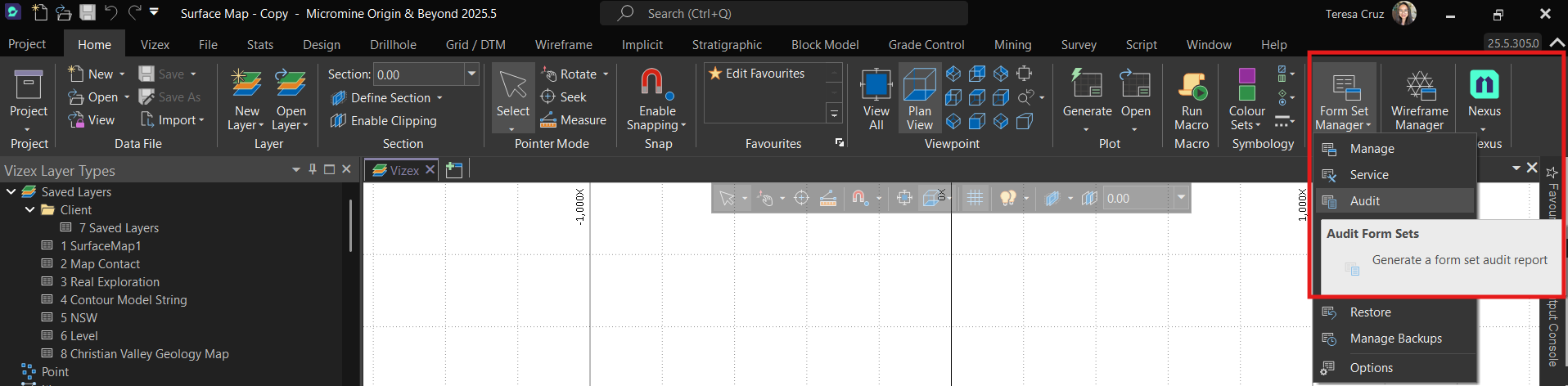 Formset Audit 01.png