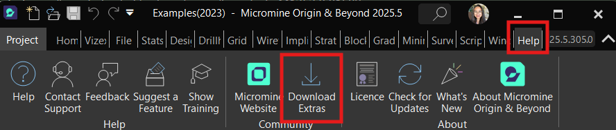 Formset Audit 02.png